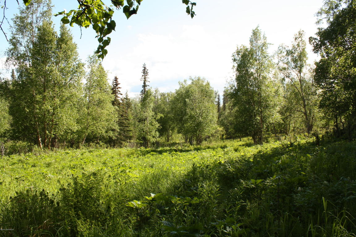 13438 E Oceanview Road, Palmer, AK 99645