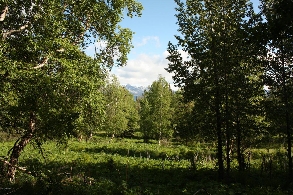 13438 E Oceanview Road, Palmer, AK 99645