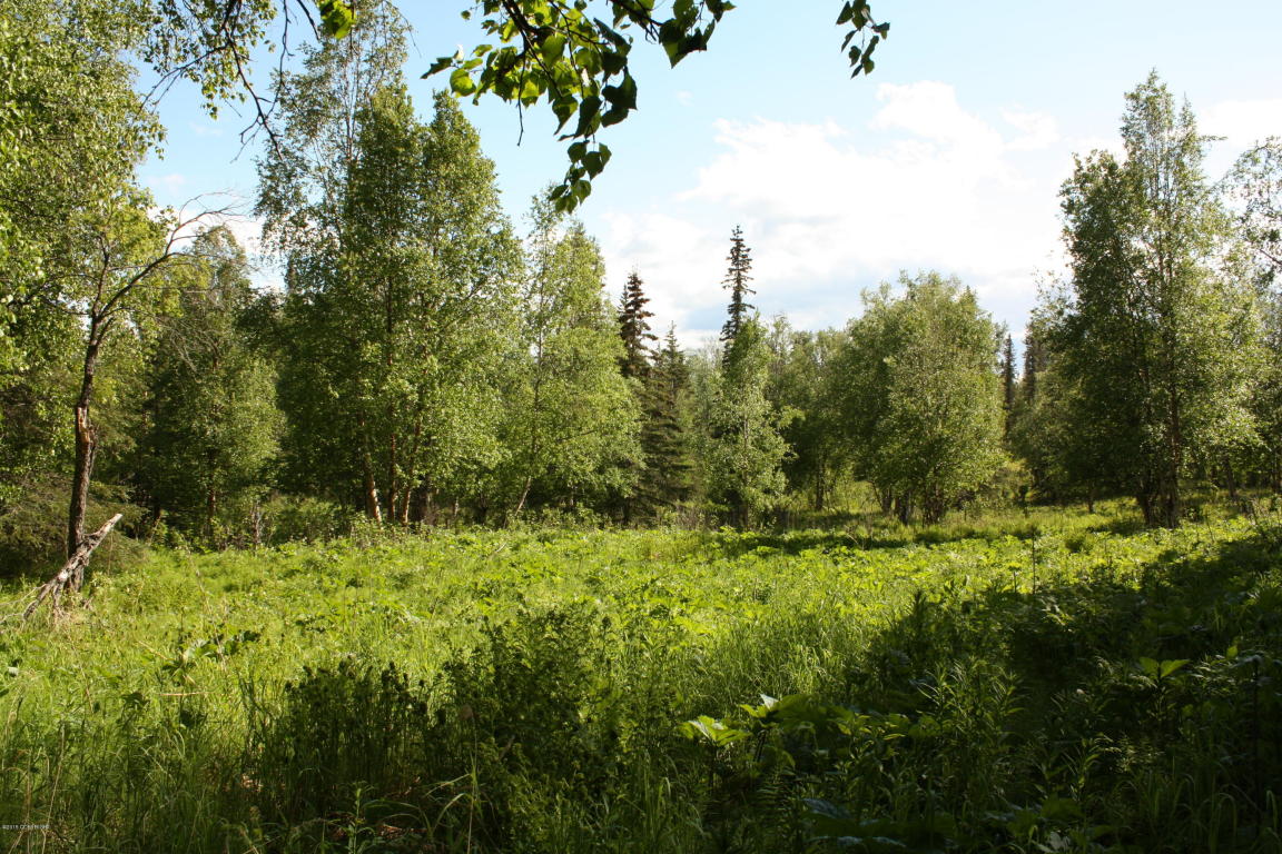 13438 E Oceanview Road, Palmer, AK 99645