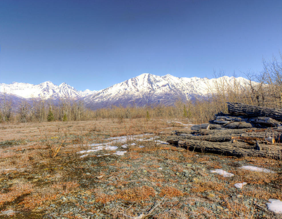 L1 B8 E Phoenicia Drive, Palmer, AK 99645