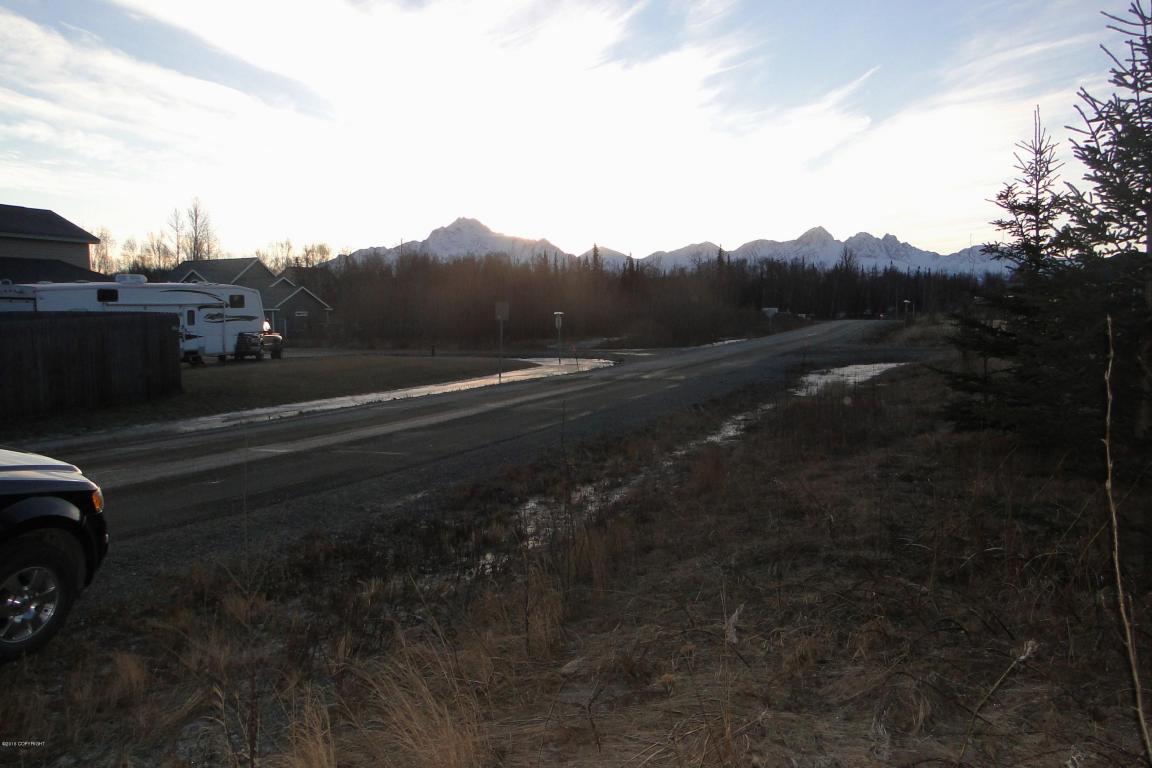 10720 E Brittney Circle, Palmer, AK 99645