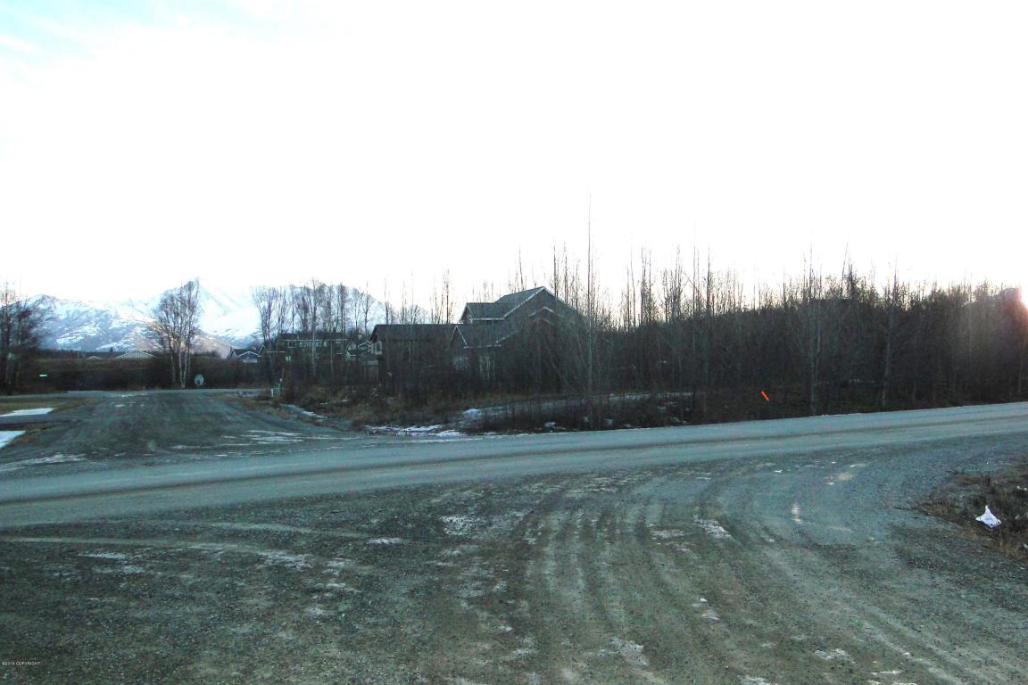 10720 E Brittney Circle, Palmer, AK 99645