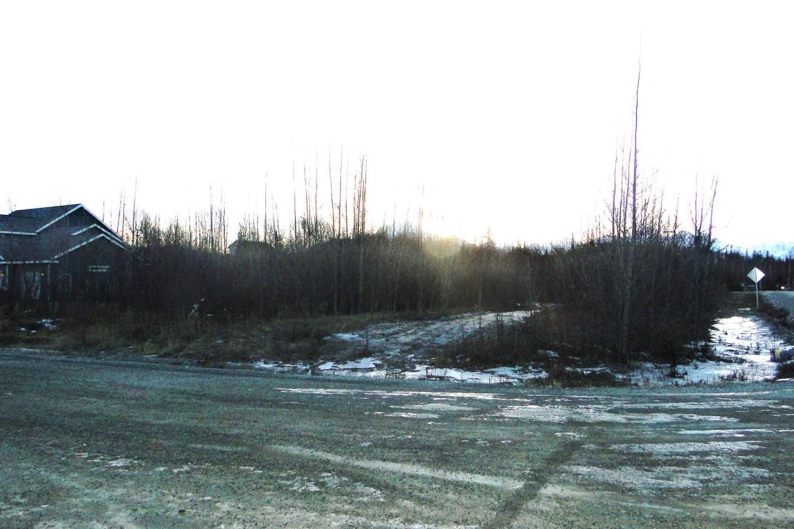 10720 E Brittney Circle, Palmer, AK 99645