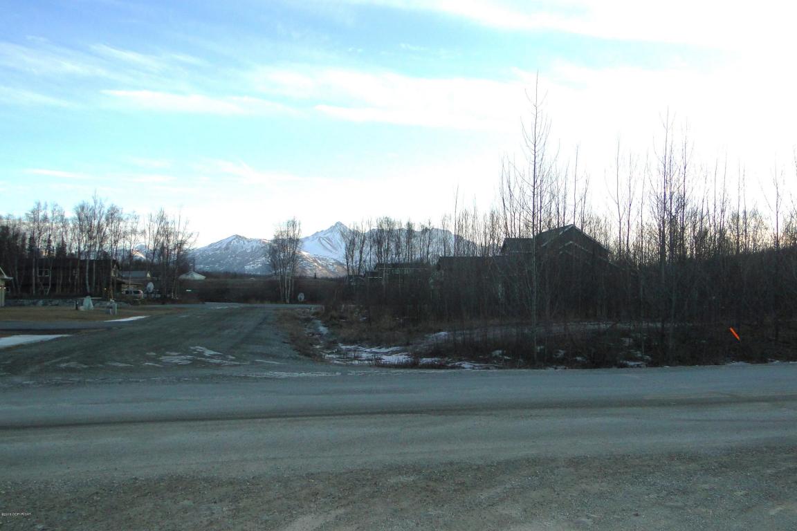 10720 E Brittney Circle, Palmer, AK 99645