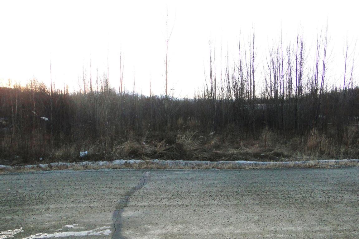 10720 E Brittney Circle, Palmer, AK 99645