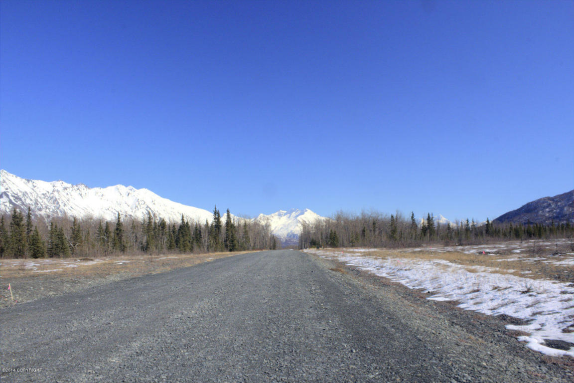 L1 B7 E Phoenicia Drive, Palmer, AK 99645
