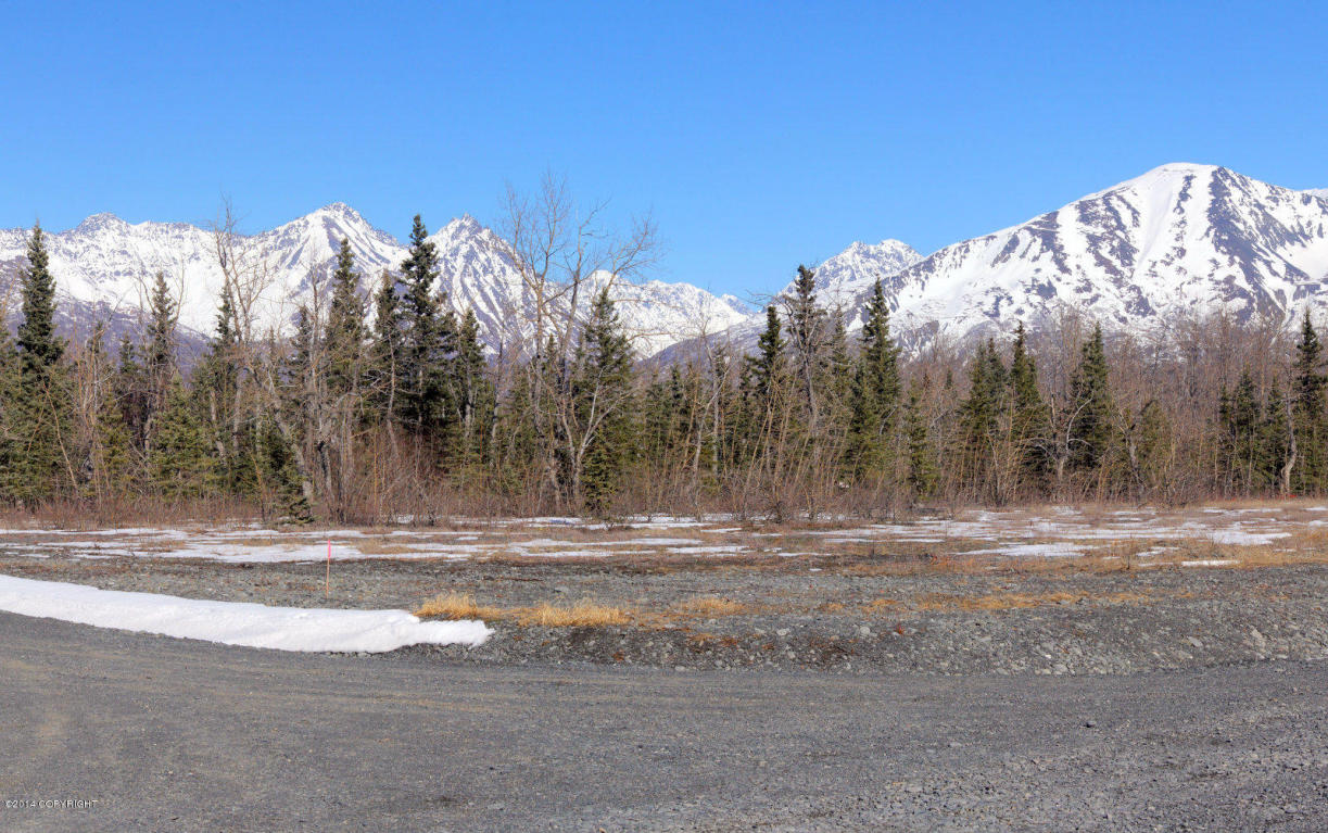 25920 E Phoenicia Drive, Palmer, AK 99645