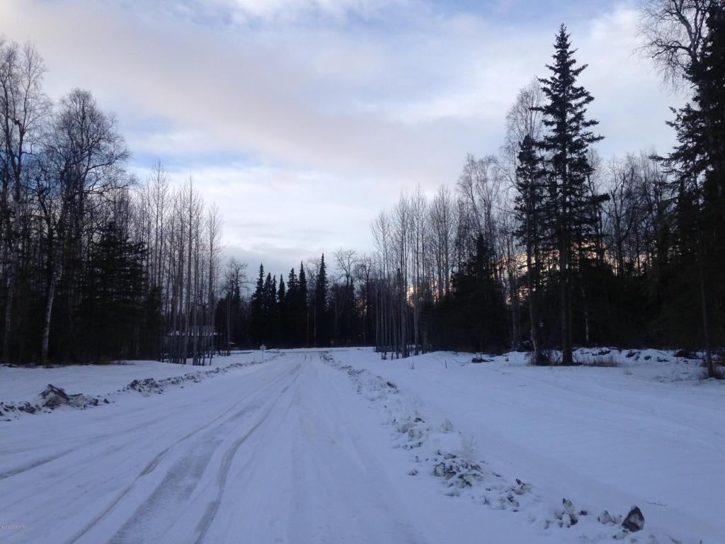 5768 E Ski Bunny Circle, Palmer, AK 99645