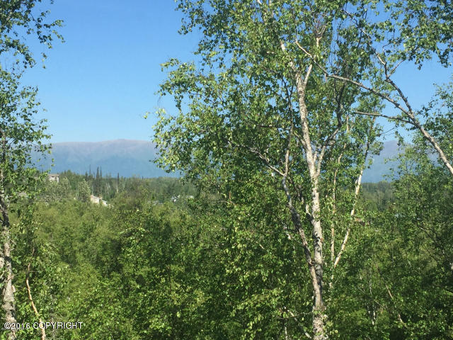 7191 E Timber Way, Palmer, AK 99645