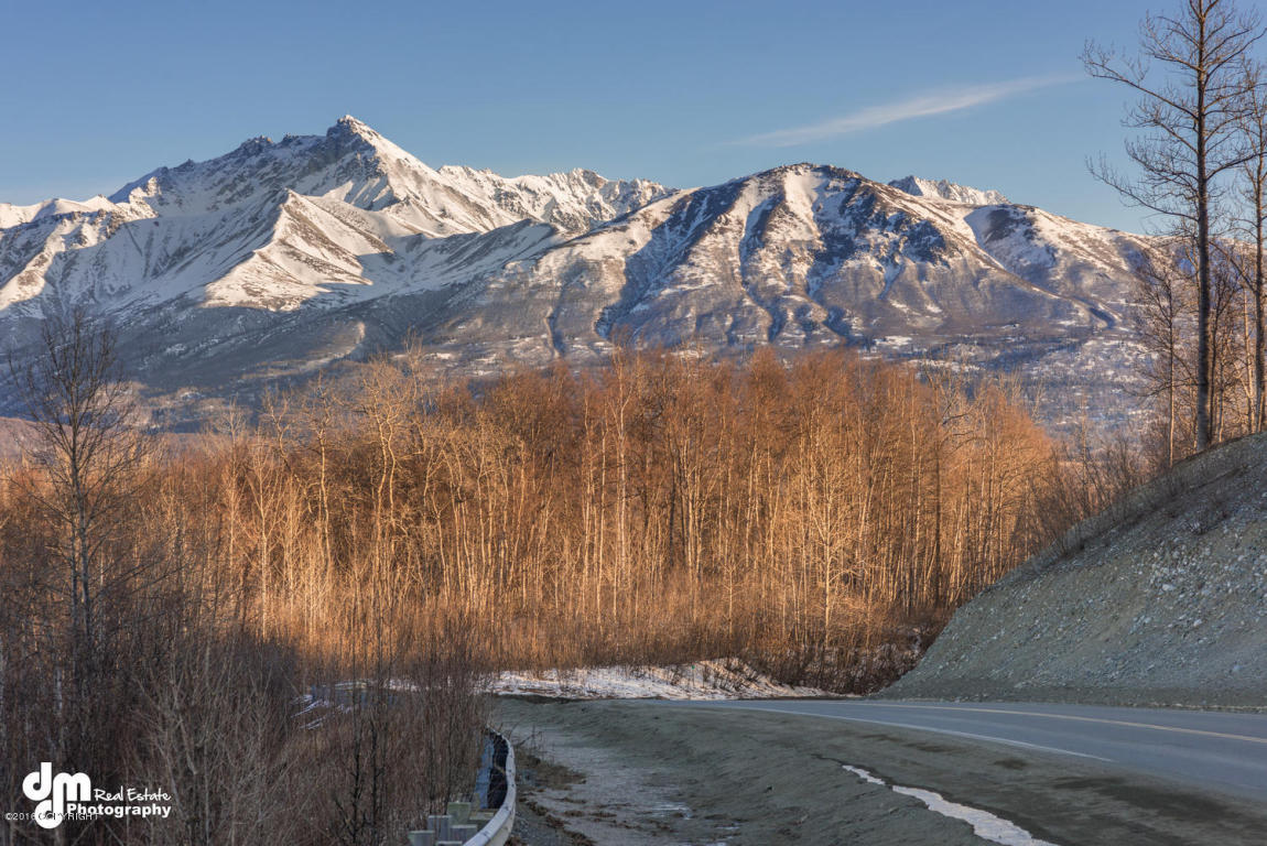 14051 E Mikes Lane, Palmer, AK 99645