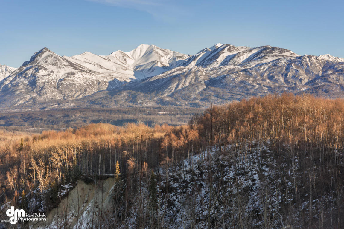 14051 E Mikes Lane, Palmer, AK 99645