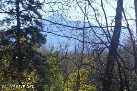 2021 N Midtown Drive, Palmer, AK 99645