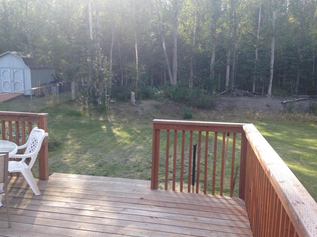 820 S Pinnacle Mountain, Palmer, United States 99645