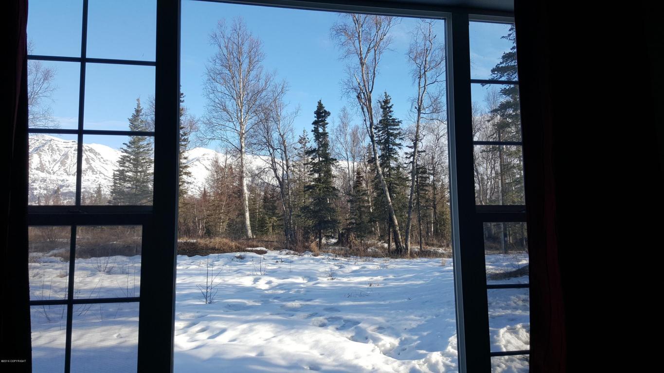 13901 E Scenic View Drive, Palmer, AK 99645