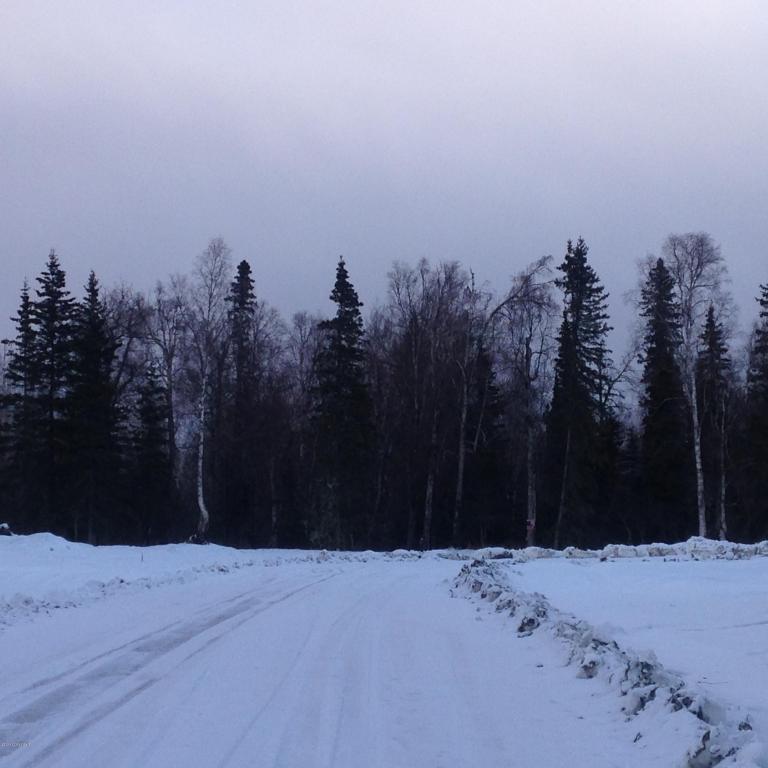 5807 E Ski Bunny Circle, Palmer, AK 99645