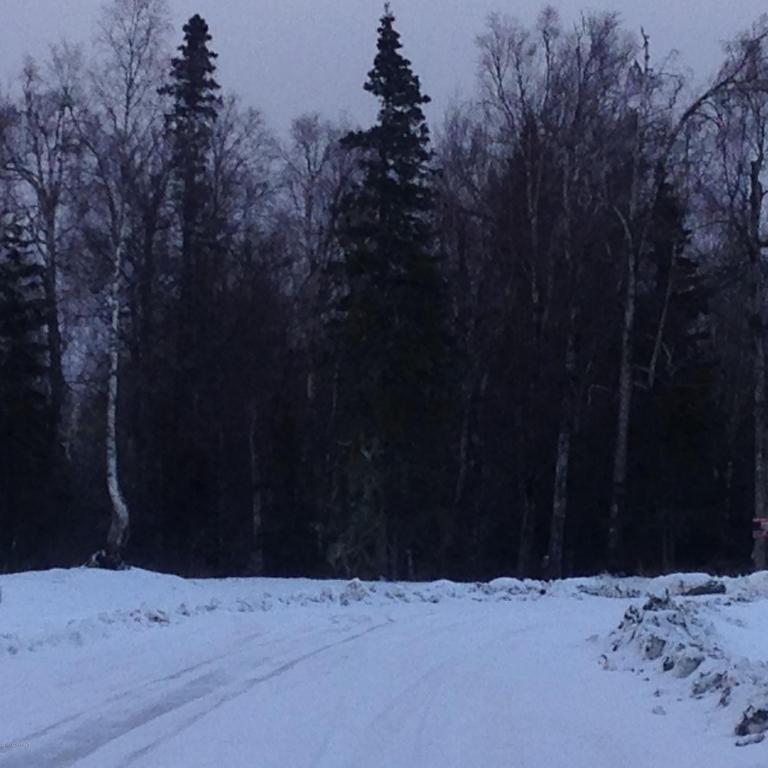 5807 E Ski Bunny Circle, Palmer, AK 99645
