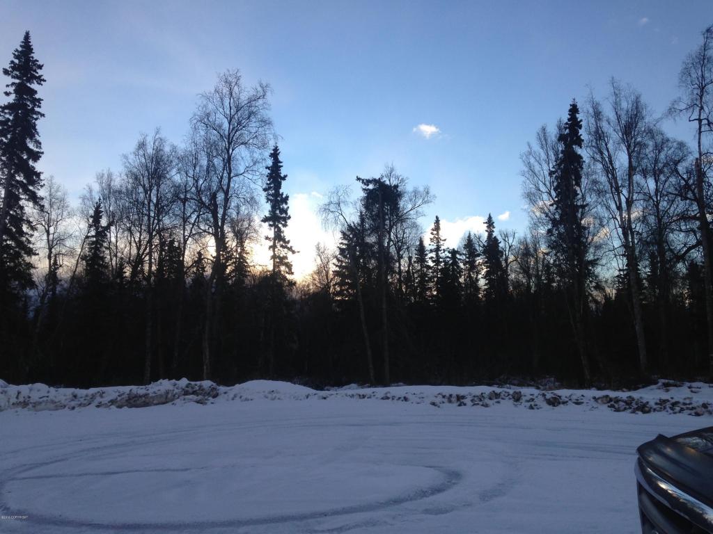 9397 N Government Creek Road, Palmer, AK 99645