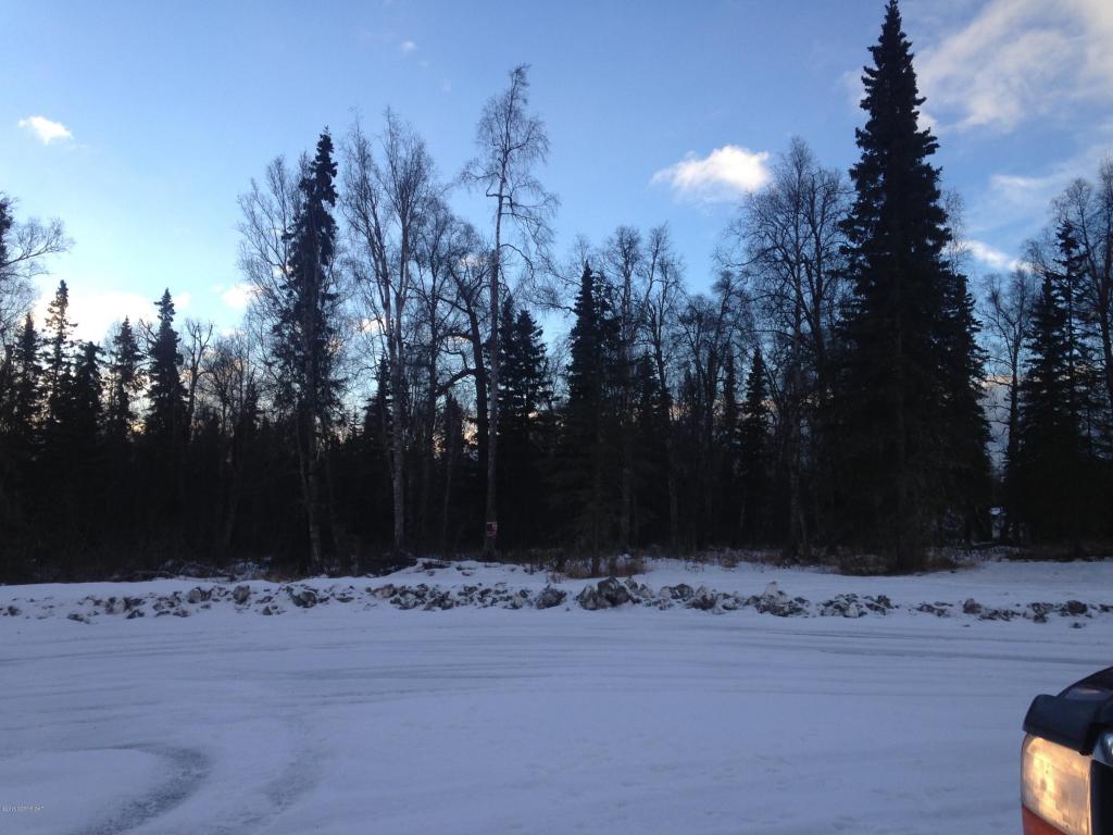 9397 N Government Creek Road, Palmer, AK 99645