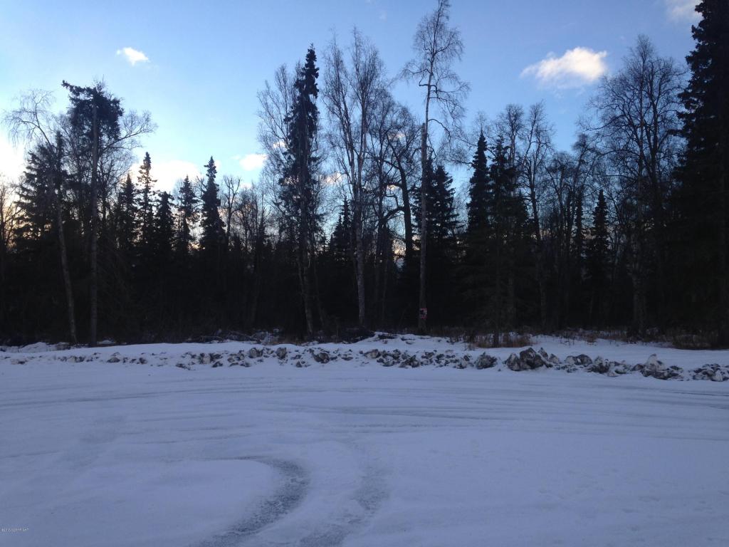 9397 N Government Creek Road, Palmer, AK 99645