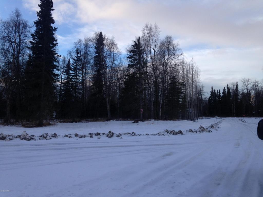 9397 N Government Creek Road, Palmer, AK 99645