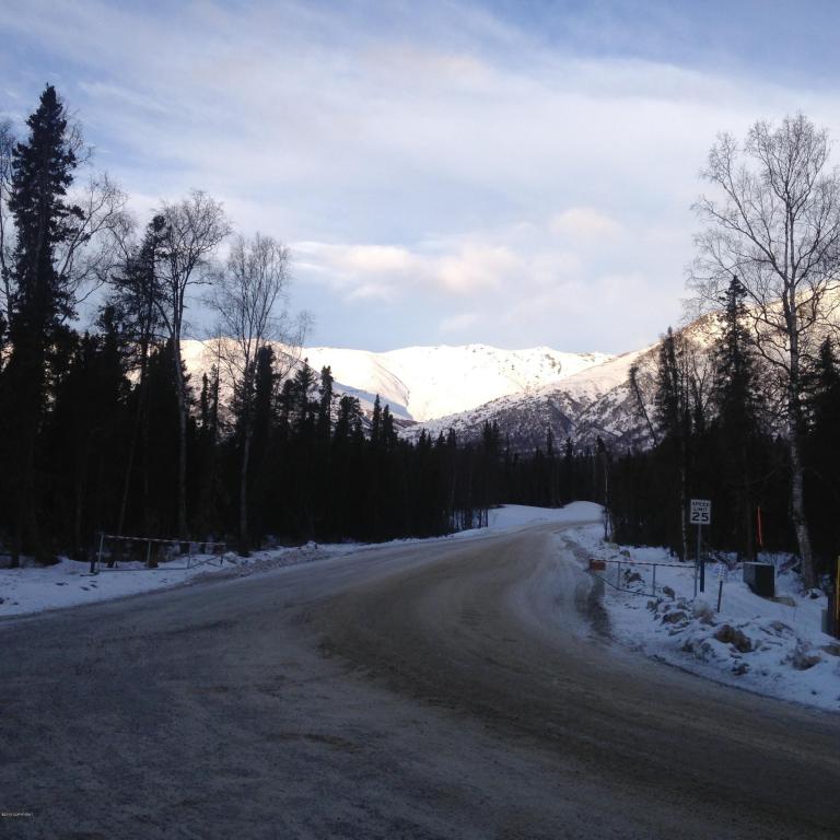 5794 E Ski Bunny Circle, Palmer, AK 99645