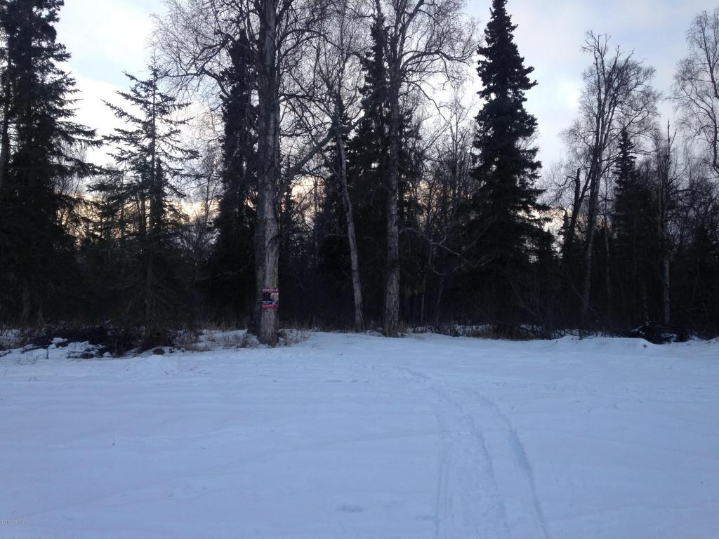 5794 E Ski Bunny Circle, Palmer, AK 99645