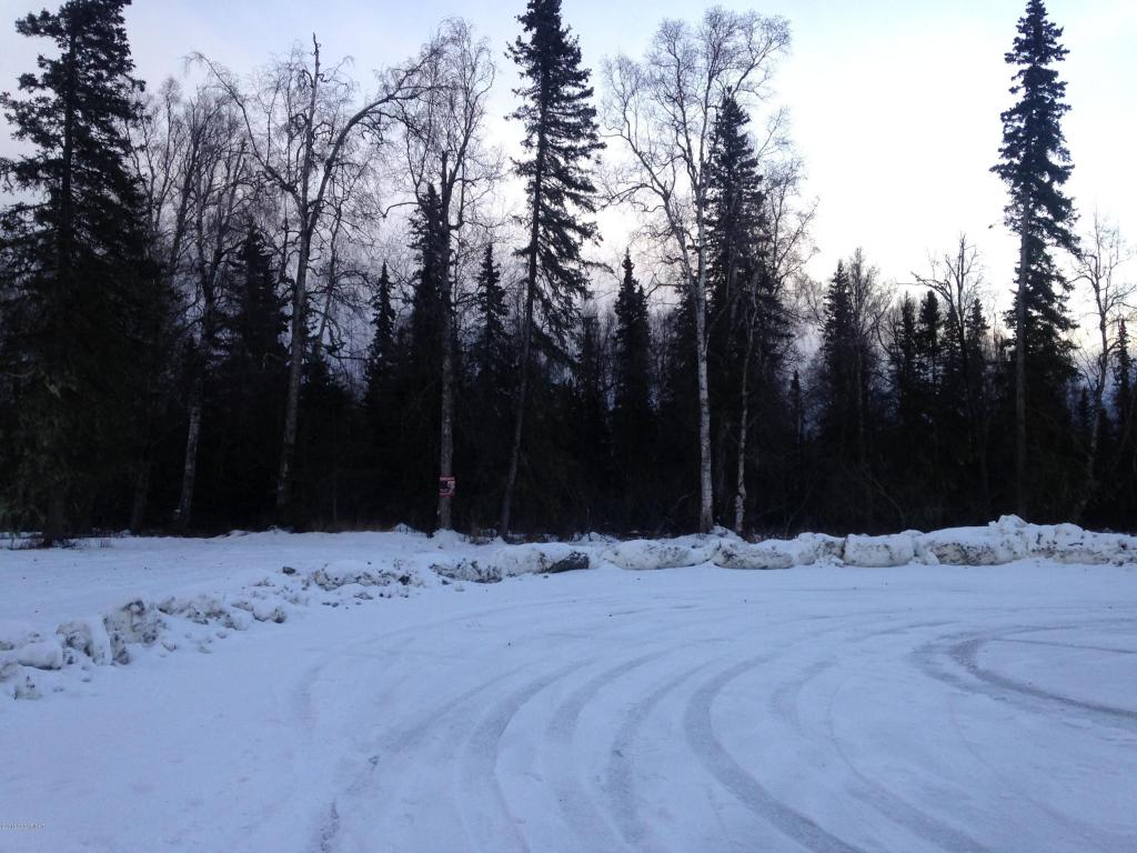 5794 E Ski Bunny Circle, Palmer, AK 99645
