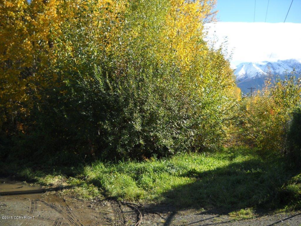 L1-13 S Gulkana, Palmer, AK 99645