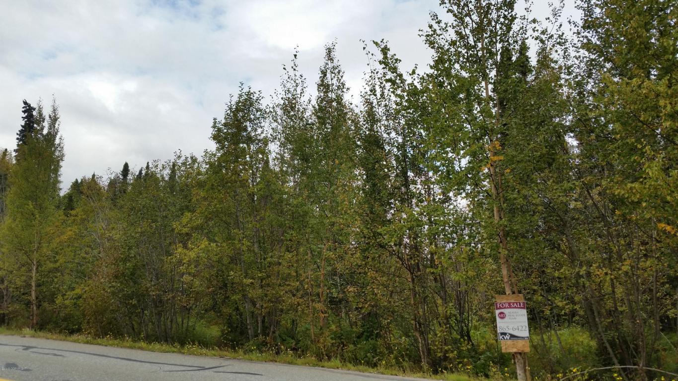 15133 W Lakes Boulevard, Big Lake, AK 99652