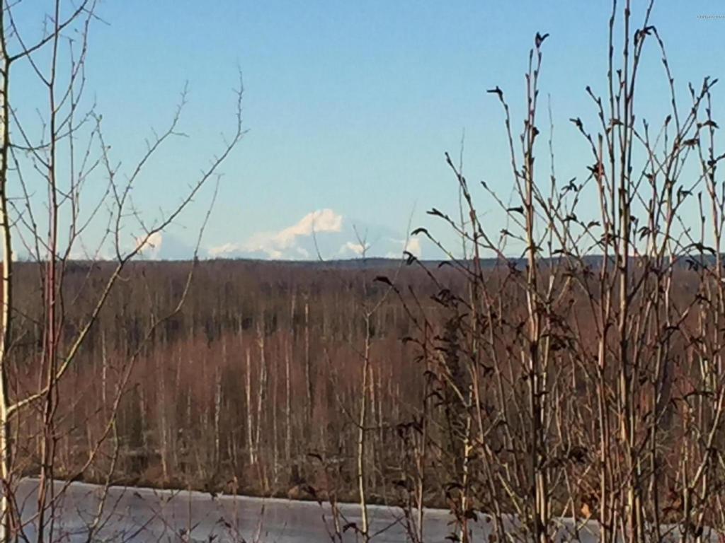 14507 W Ryans Creek Drive, Big Lake, AK 99652