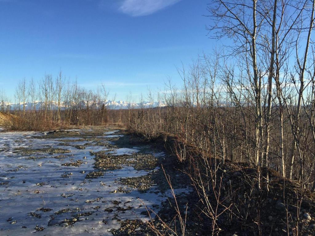 14507 W Ryans Creek Drive, Big Lake, AK 99652