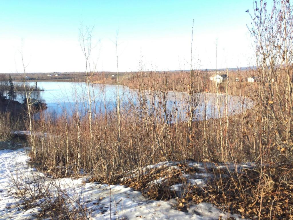 14507 W Ryans Creek Drive, Big Lake, AK 99652