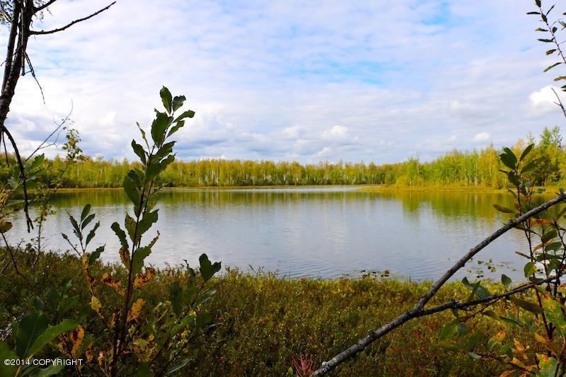 13941 W Big Lake Road, Big Lake, AK 99652