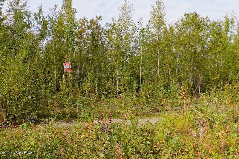 13941 W Big Lake Road, Big Lake, AK 99652