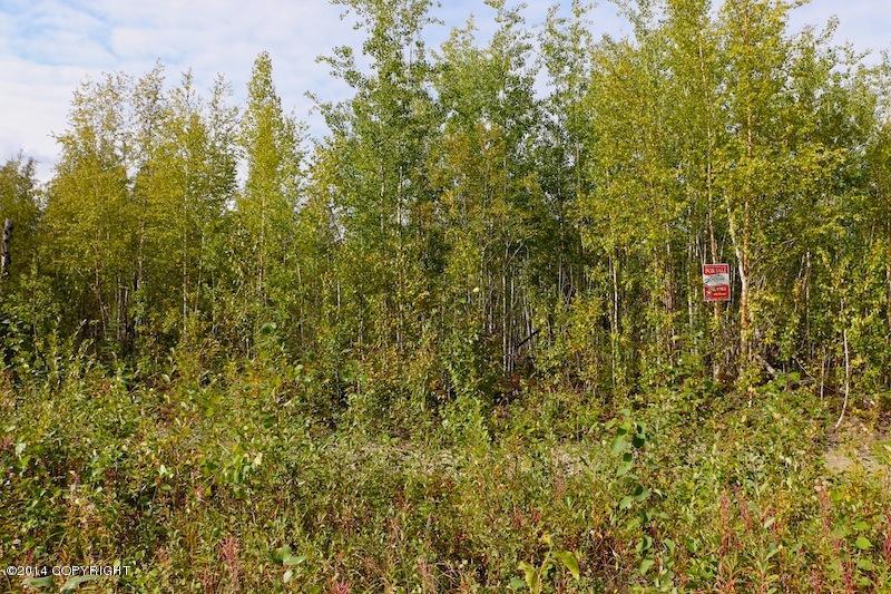 13923 W Big Lake Road, Big Lake, AK 99652