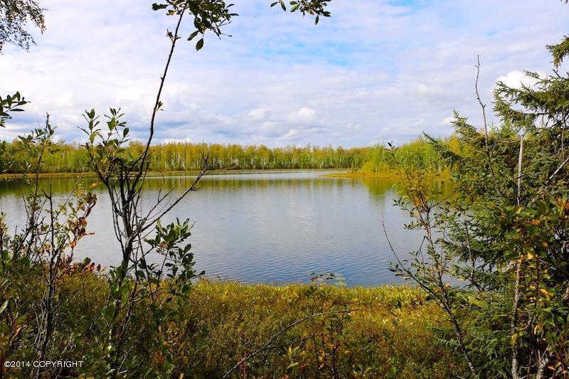 13923 W Big Lake Road, Big Lake, AK 99652