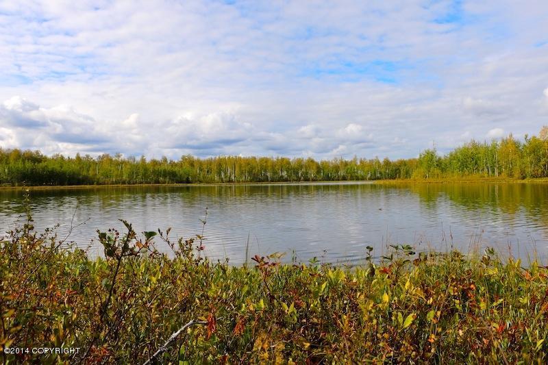 13923 W Big Lake Road, Big Lake, AK 99652