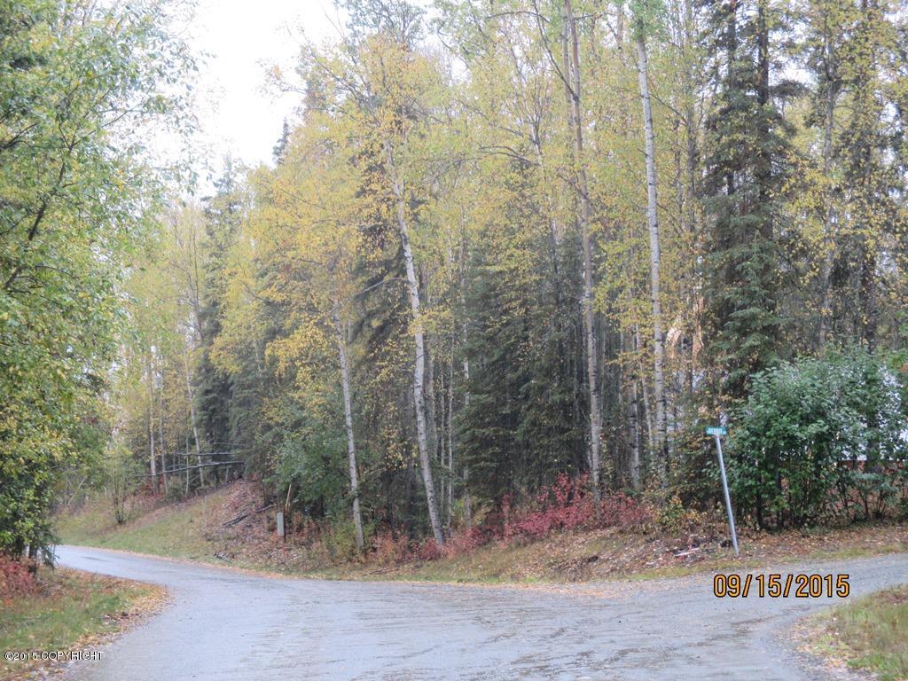 4029 S Lake View Loop, Big Lake, AK 99652