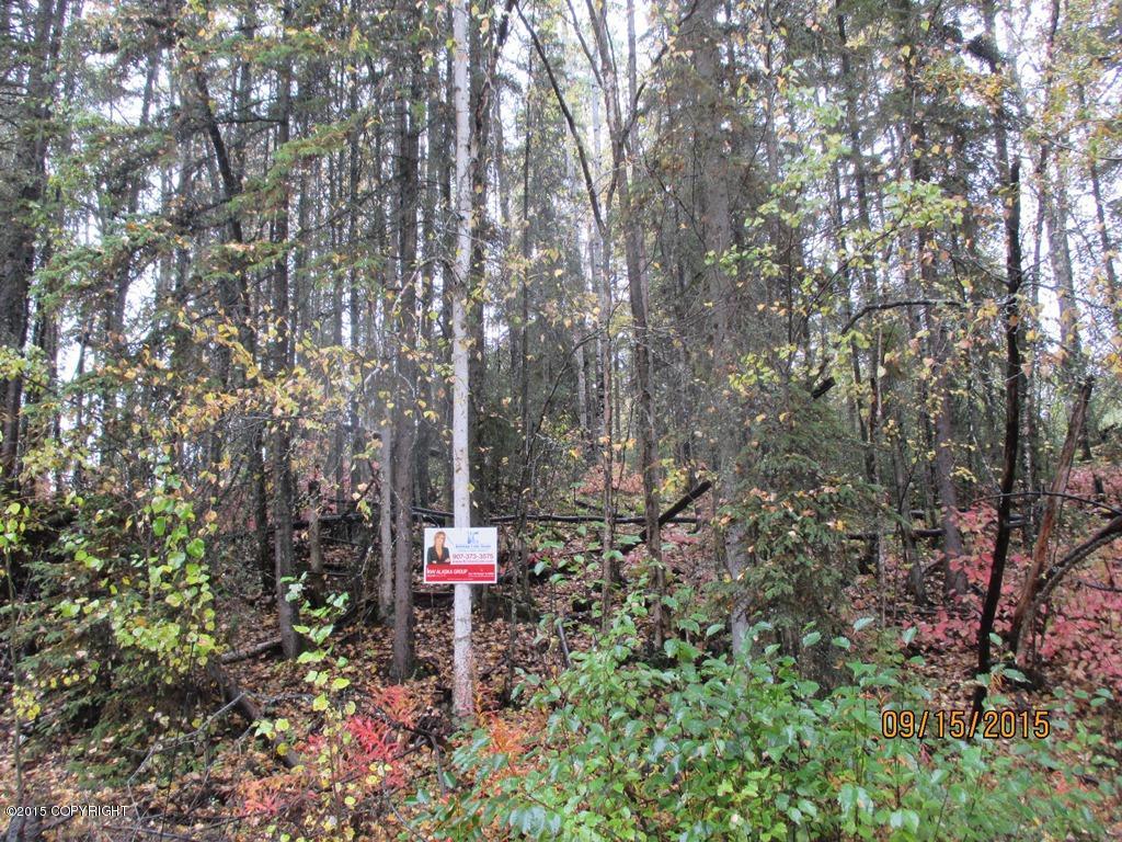 4029 S Lake View Loop, Big Lake, AK 99652