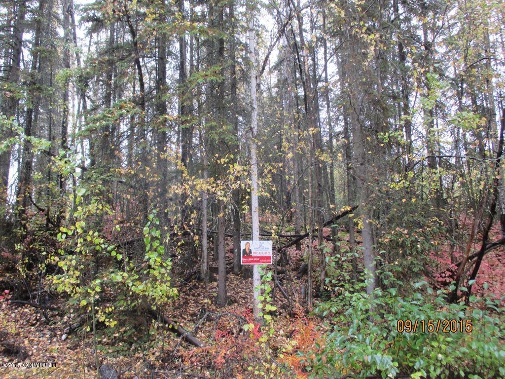 4029 S Lake View Loop, Big Lake, AK 99652