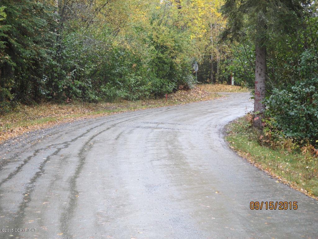 4029 S Lake View Loop, Big Lake, AK 99652