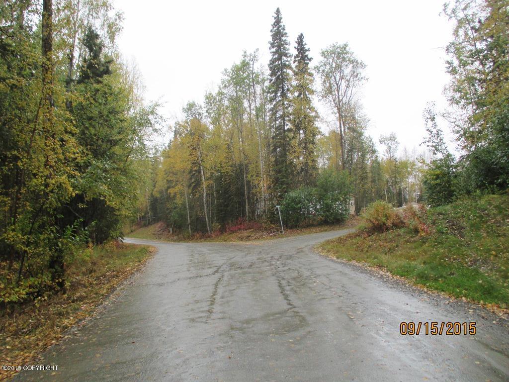 4029 S Lake View Loop, Big Lake, AK 99652