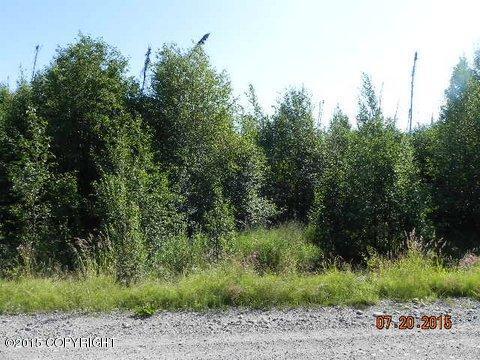 304 S Ashley Road, Big Lake, AK 99652