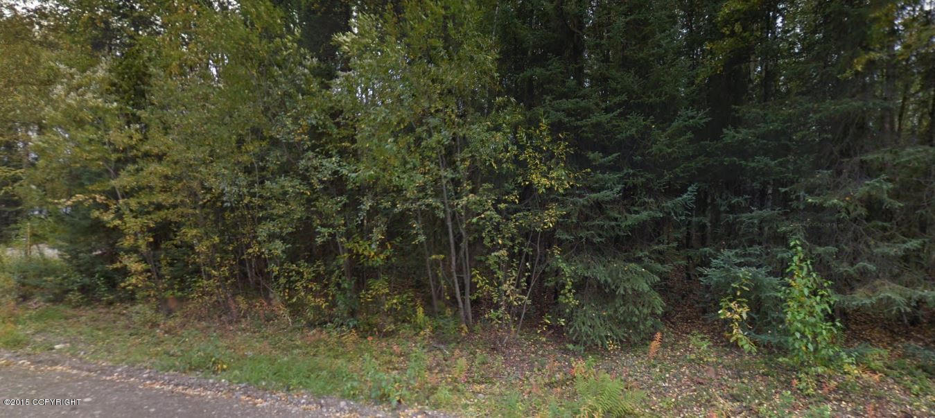 12086 W Looking Glass Drive, Big Lake, AK 99652