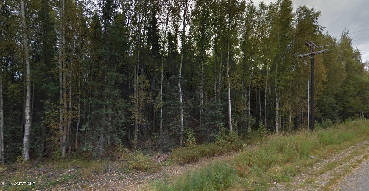 12086 W Looking Glass Drive, Big Lake, AK 99652