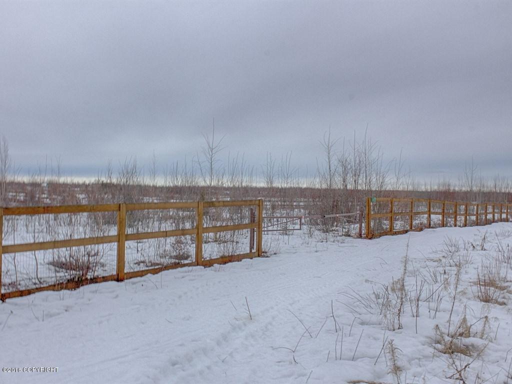 1155 S Horseshoe Lake Road, Big Lake, AK 99652