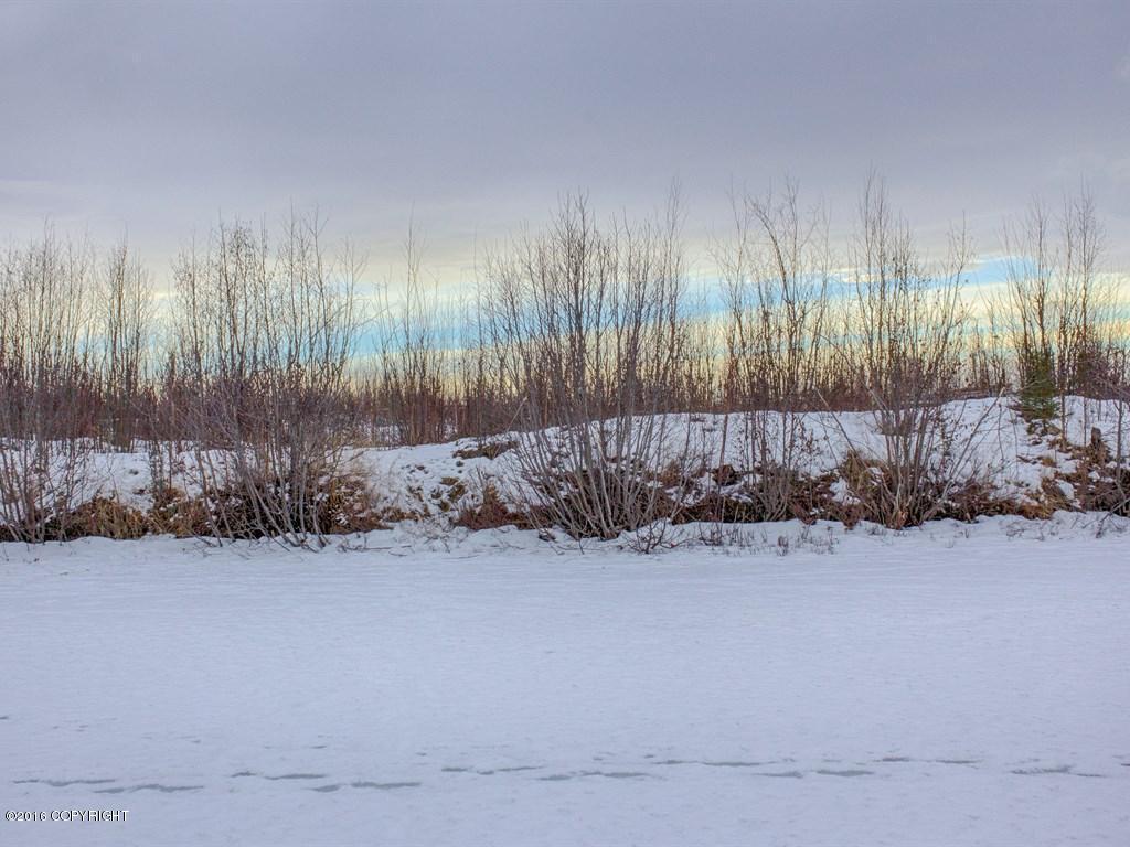 1155 S Horseshoe Lake Road, Big Lake, AK 99652