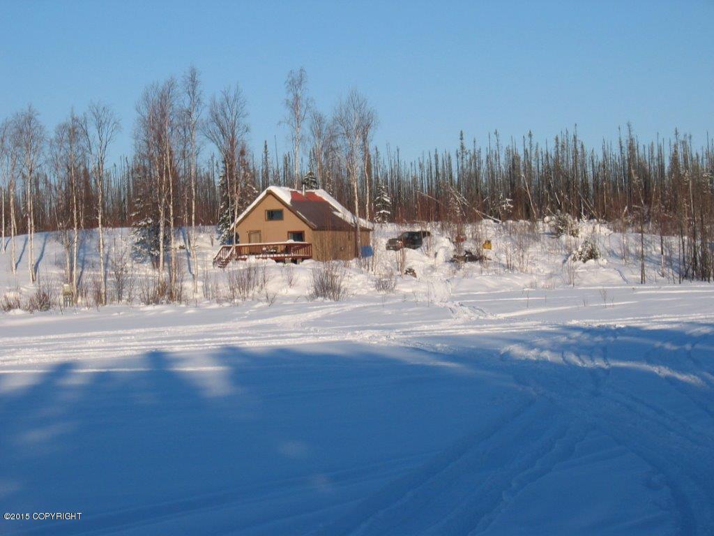 2397 S Horseshoe Lake Road, Big Lake, AK 99652
