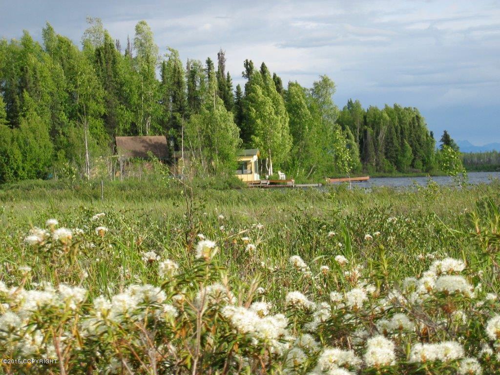 2397 S Horseshoe Lake Road, Big Lake, AK 99652