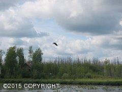 2397 S Horseshoe Lake Road, Big Lake, AK 99652